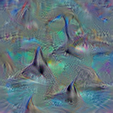 n02066245